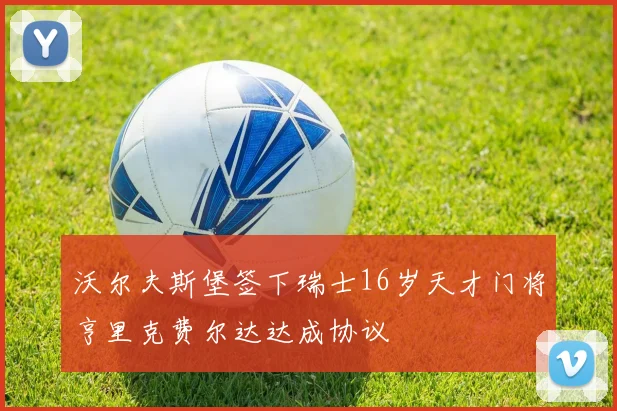 沃尔夫斯堡签下瑞士16岁天才门将亨里克费尔达达成协议