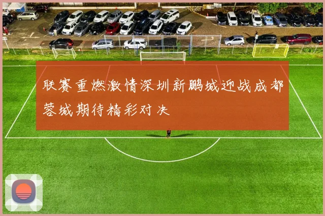 联赛重燃激情深圳新鹏城迎战成都蓉城期待精彩对决