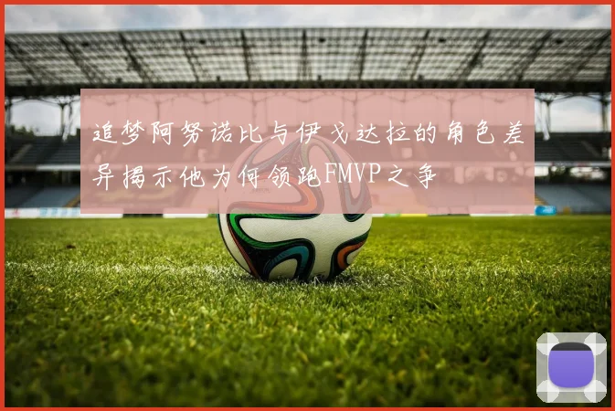 追梦阿努诺比与伊戈达拉的角色差异揭示他为何领跑FMVP之争