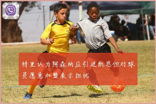 特里认为阿森纳应引进凯恩但对球员愿意加盟表示担忧